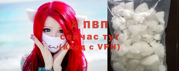 spice Арсеньев