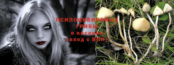каннабис Аркадак