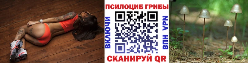 Псилоцибиновые грибы Psilocybe  Чистополь 