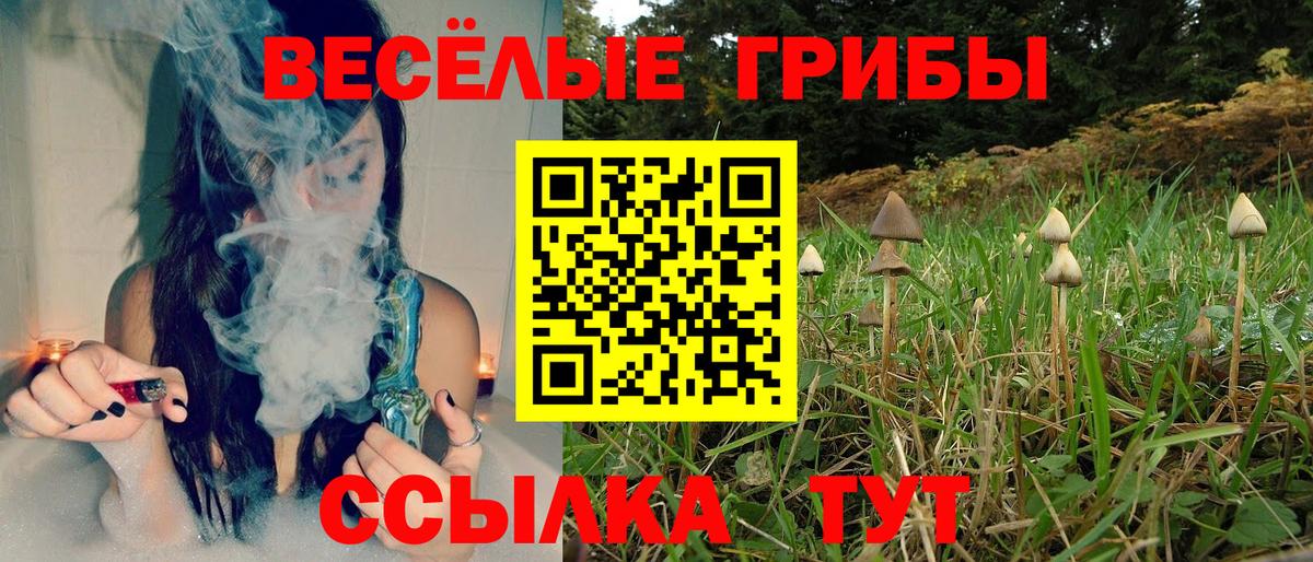 Галлюциногенные грибы ЛСД Чистополь