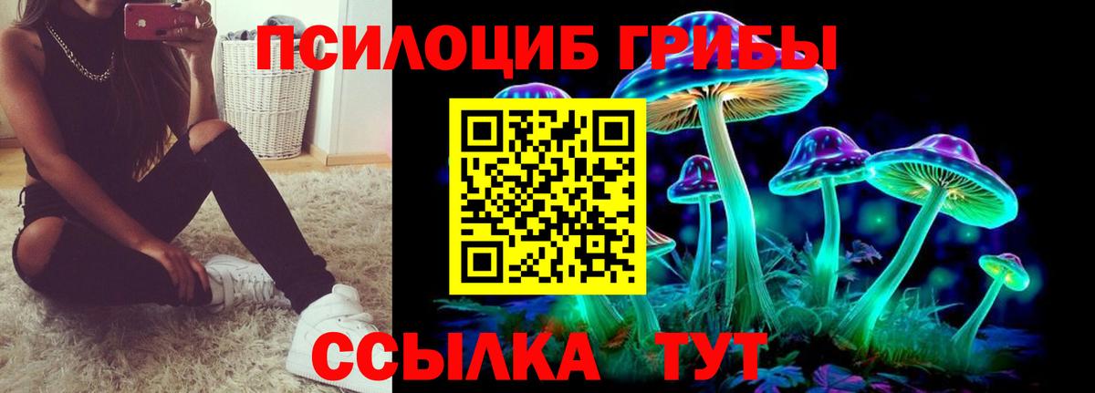 Чистополь  Псилоцибиновые грибы Cubensis  Вход с VPN 