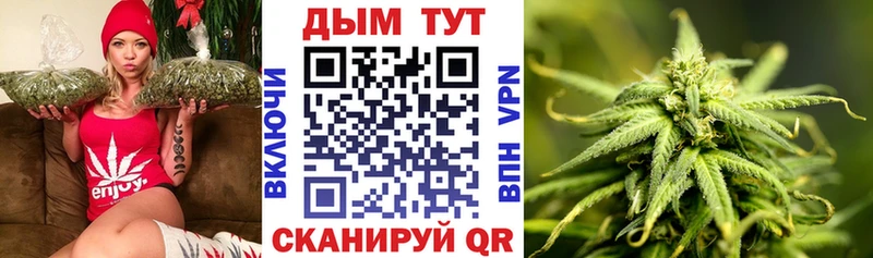 Бошки марихуана планчик  где продают   Чистополь 